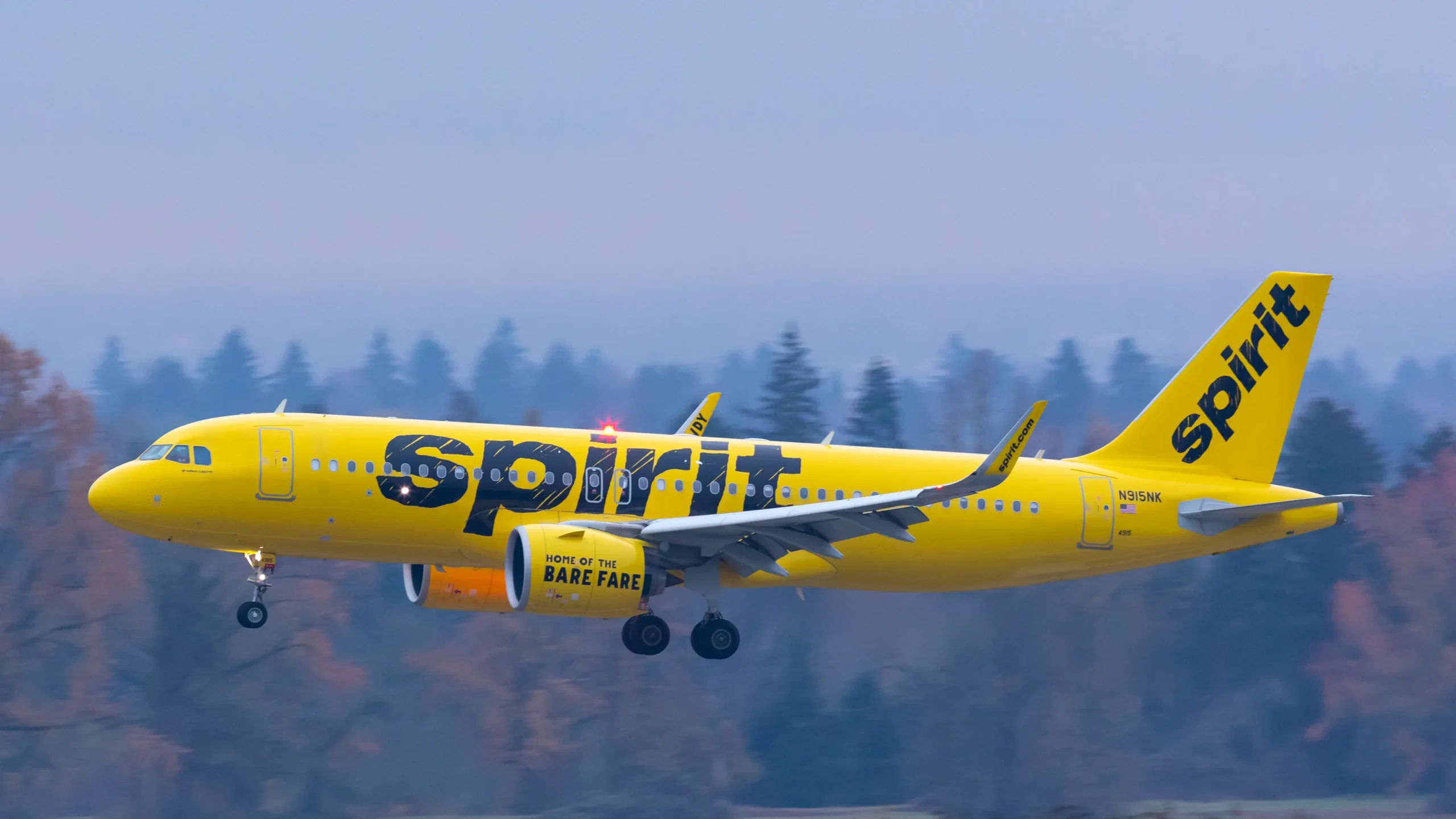 Spirit Airlines Fees: Baggage, Change, Unaccompanied minor & In-cabin pet fees